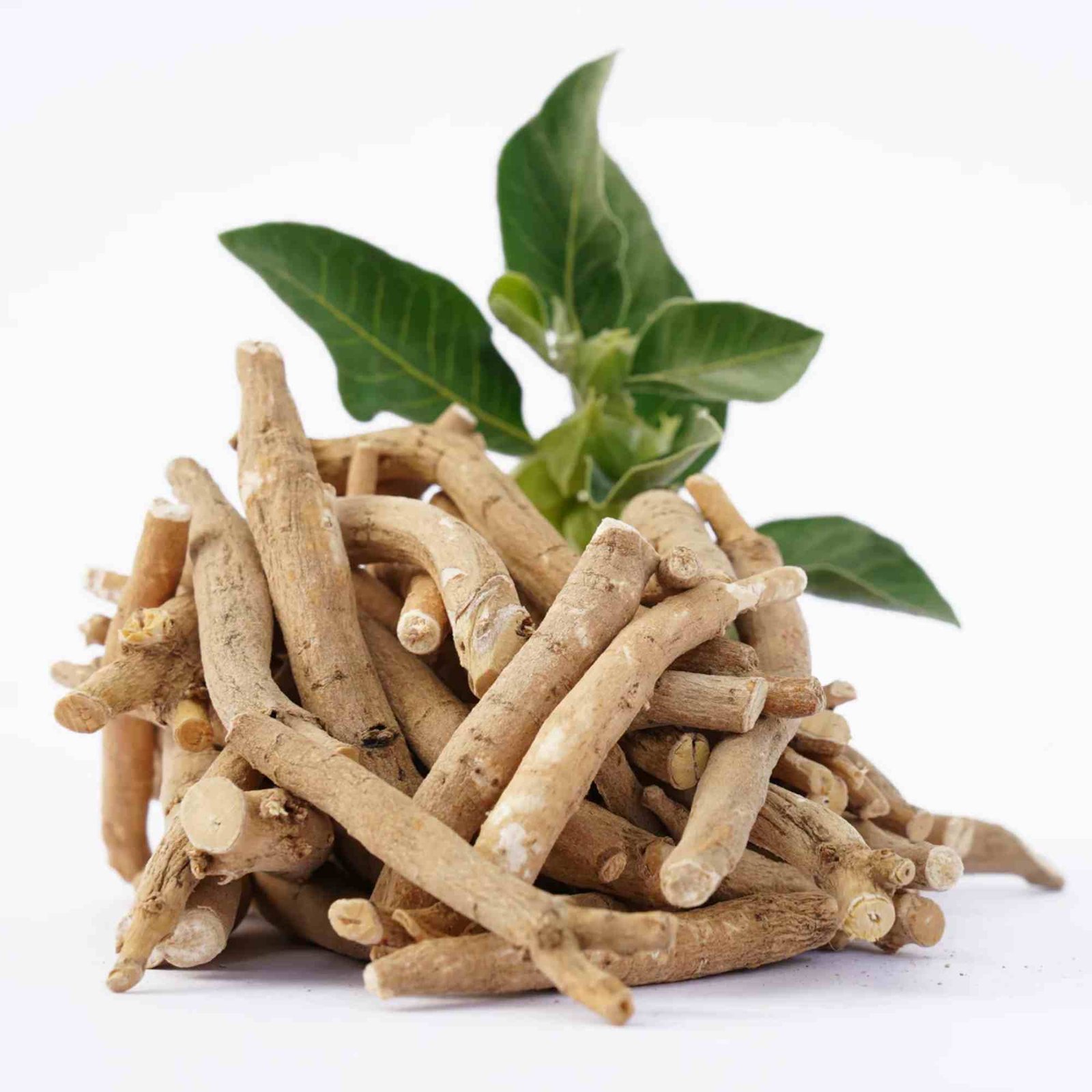 अश्वगंधा